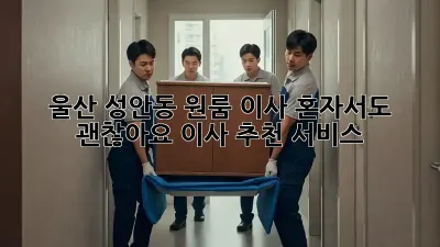 울산 성안동 원룸 이사, 혼자서도 괜찮아요! 이사 추천 서비스